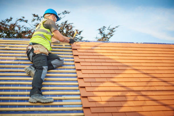 Best Asphalt Shingles Roofing  in Grass Valley, CA